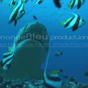 /observatoire/images/1415_0b871d0cbd6a714f04c0dcd45782ff33.jpg